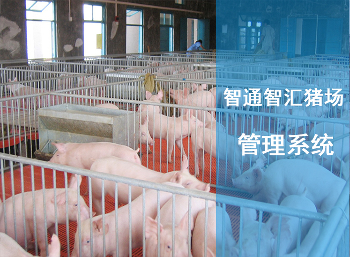 智汇猪场管理系统