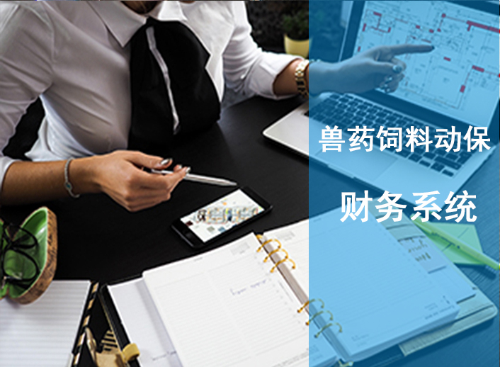 财务管理系统
